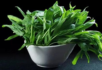 廣西空心菜