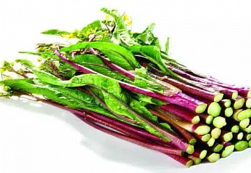 湖北紅菜薹