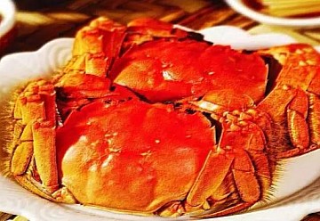 陽澄湖大閘蟹
