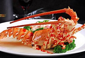 東北春節(jié)特色美食節(jié)，帶您感受年的味道！