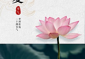 立夏|一夏安康，向陽(yáng)生長(zhǎng)