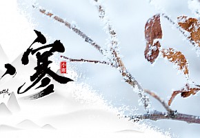 小寒丨心中有暖，歲月不寒