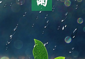谷雨丨春盡夏將至，繁花似錦來